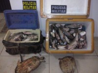 09/09/2015 - Policiais Militares de Novo Santo Antonio apreende pescado e quelônios próximo a cidade de Luciara
