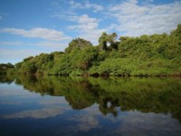 25/11/2015 - Autoridades discutirão manejo do Parque do Araguaia na próxima sexta (27)  