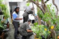 05/02/2016 - Forças Armadas vão orientar moradores de São Félix do Araguaia sobre mosquito 