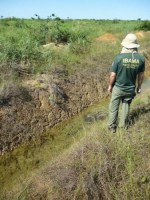 27/04/2016 - Ibama fiscaliza desmate em Varjões do Araguaia  