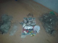 15/06/2016 - Vereador é preso por crime ambiental em Novo Santo Antonio  