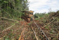 19/07/2016 - Uso do ‘correntão’ é liberado em Mato Grosso