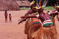 28/07/2016 - Índios alegam impacto e pedem fim de construção de PCHs em MT 