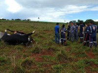 20/02/2017 - Fazendeiro leva choque e morre ao tentar tirar foto de gado eletrocutado 