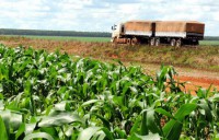 05/04/2017 - Região do Araguaia ganha nova rota para exportar produção