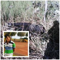 12/05/2017 - Lavrador desaparecido é encontrado morto em Barra do Garças  
