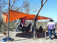 07/08/2017 - Trabalhadores são resgatados de serviço escravo em São Felix do Araguaia  Leia mais: