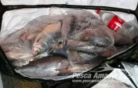 10/08/2018 - Força tarefa apreende 93 kg de pescado ilegal no Rio Culuene no Vale do Araguaia