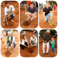 27/03/2026 ´Bosque Safira ganha força com plantio de mudas e mobiliza autoridades e comunidade em São Félix do Araguaia