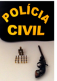 28/11/2015 - Operação da Polícia Civil prende homem por posse ilegal de arma de fogo em Santa Terezinha  