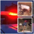 07/03/2016 - Pontal do Araguaia: duplo homicídio na madrugada 