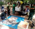 24/06/2016 - Operação apreende 143 kg de pescado irregular e 13 tartarugas em Novo Santo Antonio