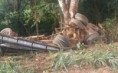 29/03/2017 Caminhão perde freio e motorista morre na MT-251 entre Nova Xavantina e Campinápolis 