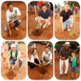 27/03/2026 ´Bosque Safira ganha força com plantio de mudas e mobiliza autoridades e comunidade em São Félix do Araguaia