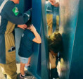 11/04/2026 - Criança fica com a cabeça presa entre pilares de concreto em escola de MT